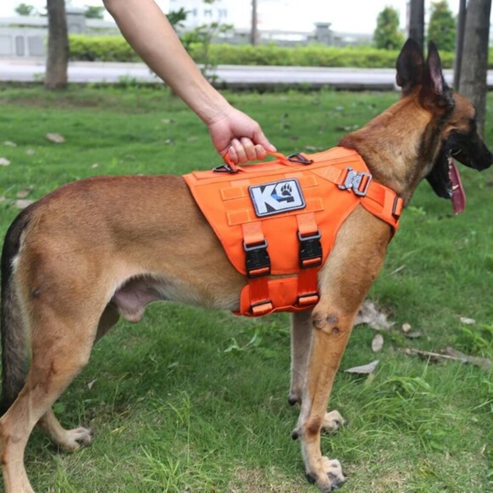 NWT - ICEFANG GN3 Tactical Dog Harness with 6X Buckle, Do Molle Vest with Handle